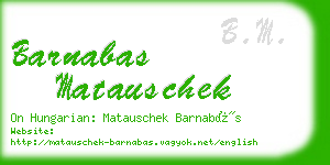 barnabas matauschek business card